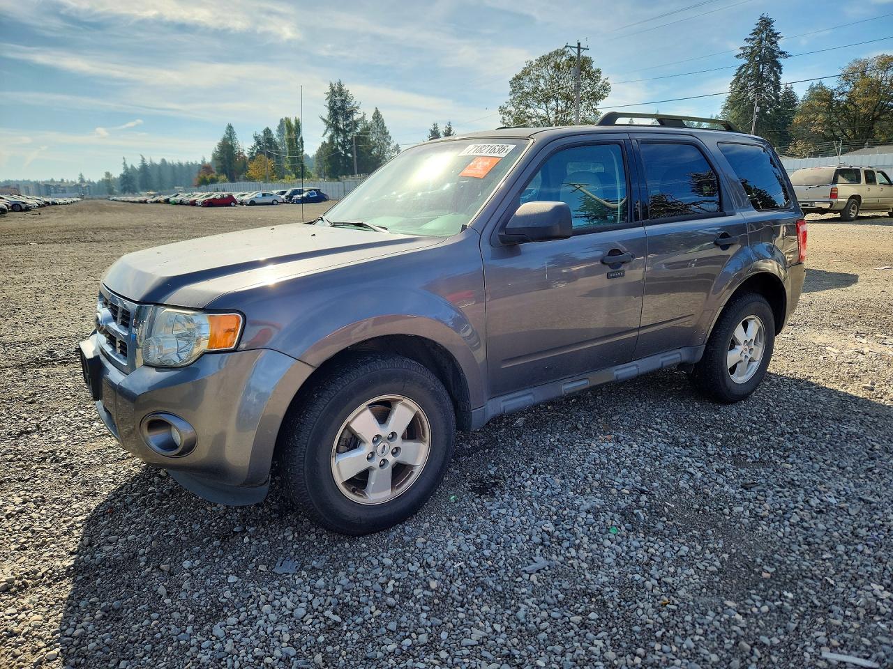 2012 FORD ESCAPE XLT